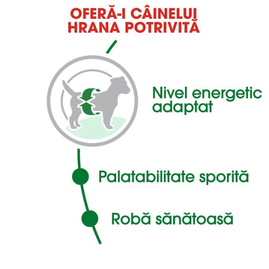 Royal Canin Mini Adult – Hrană Uscată pentru Câini Adulți de Talie Mică – 8 kg